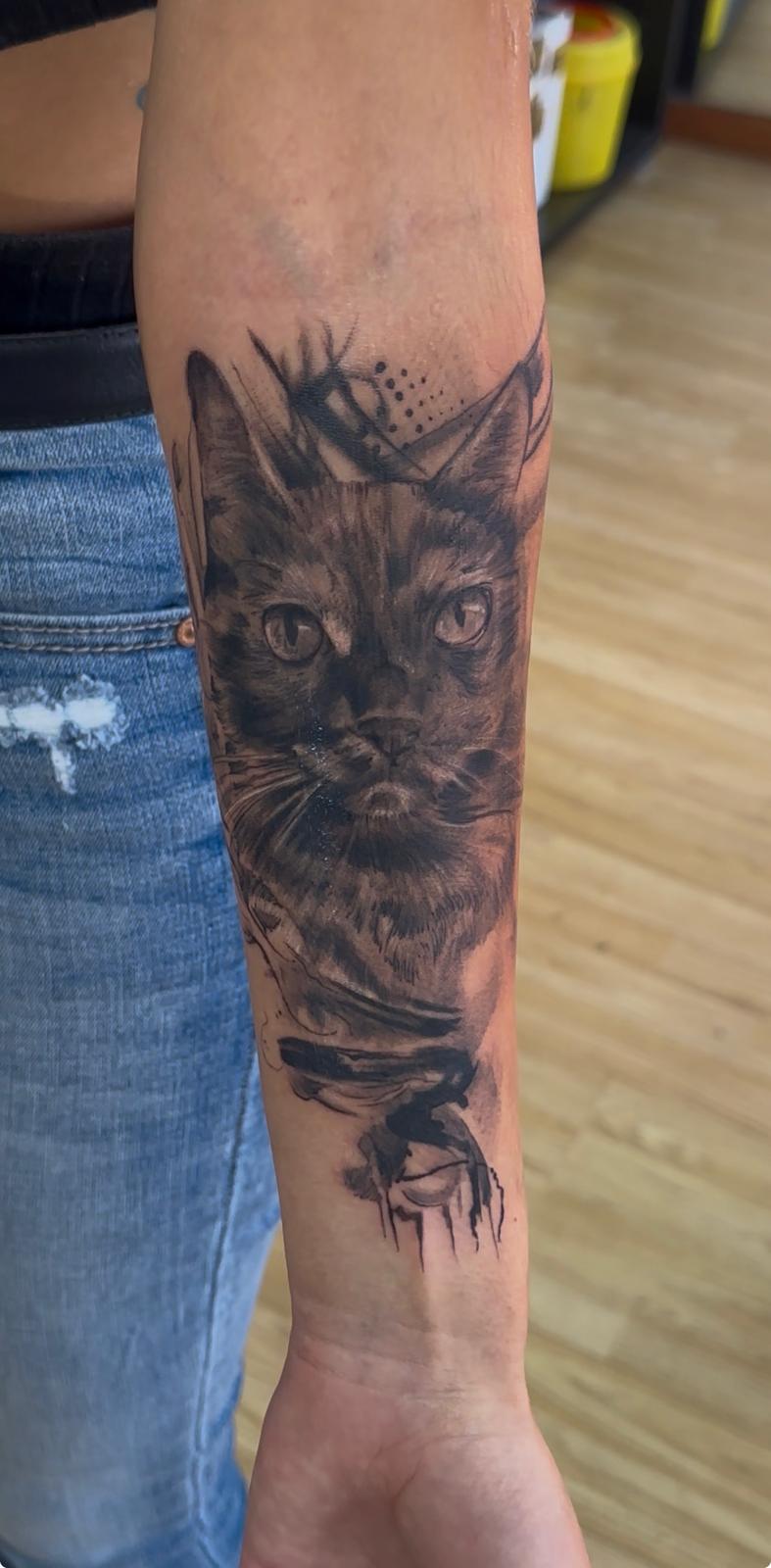 Gato — realismo