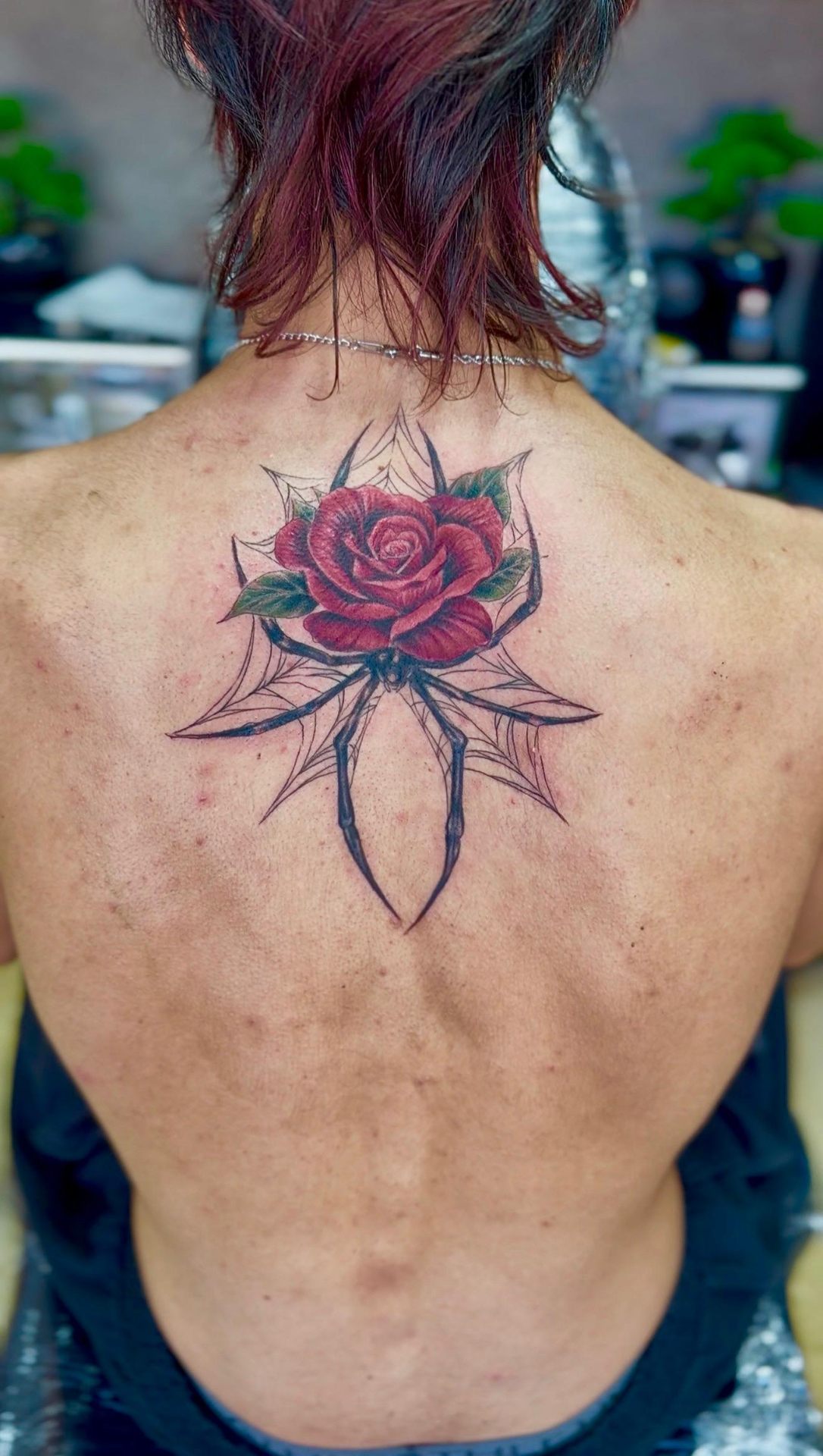 Rosa & teia